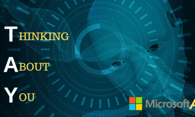 TAY Chatbot by Microsoft